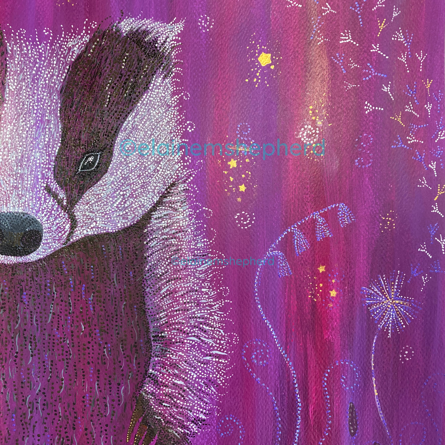 Spirit of the Badger