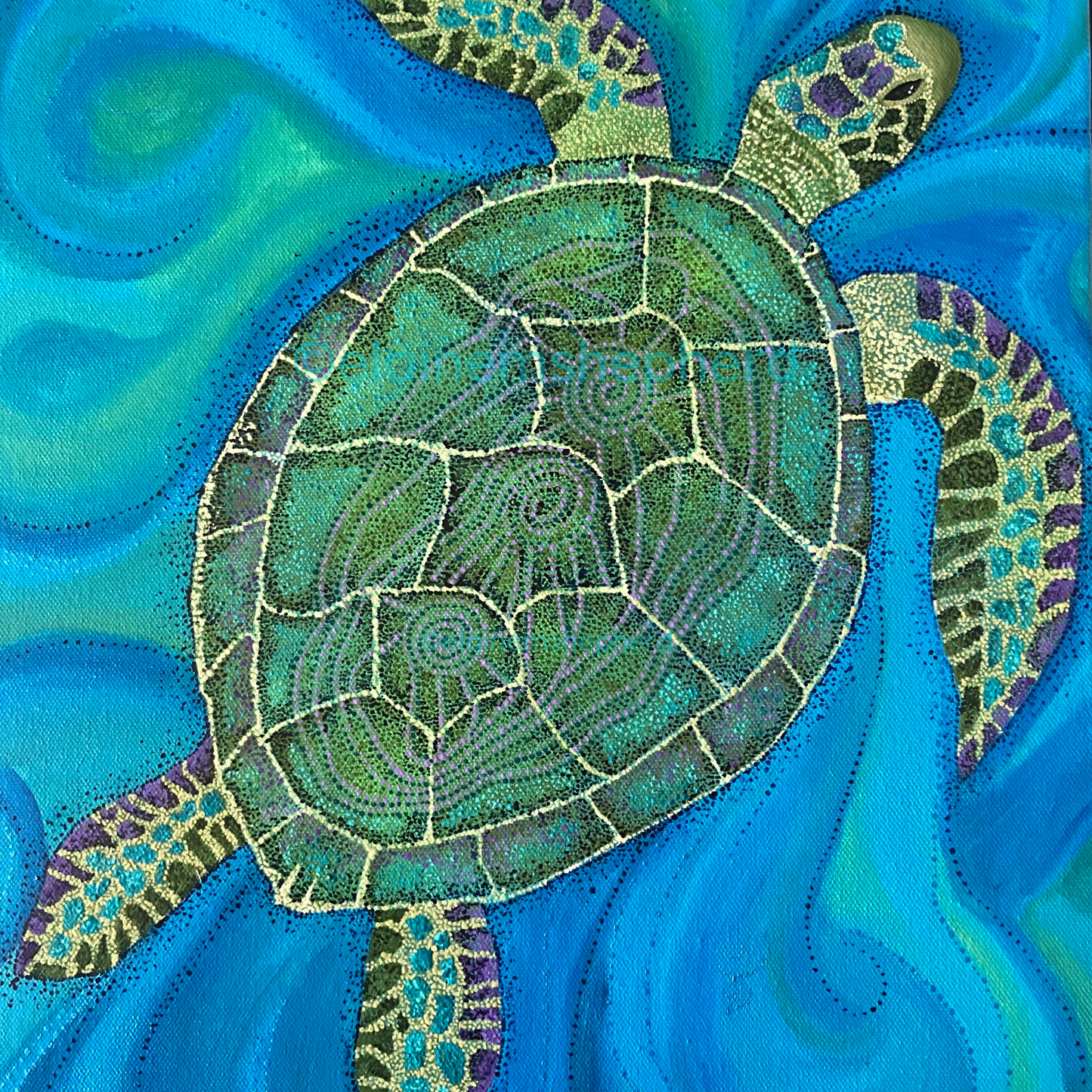 Turtle Gliding