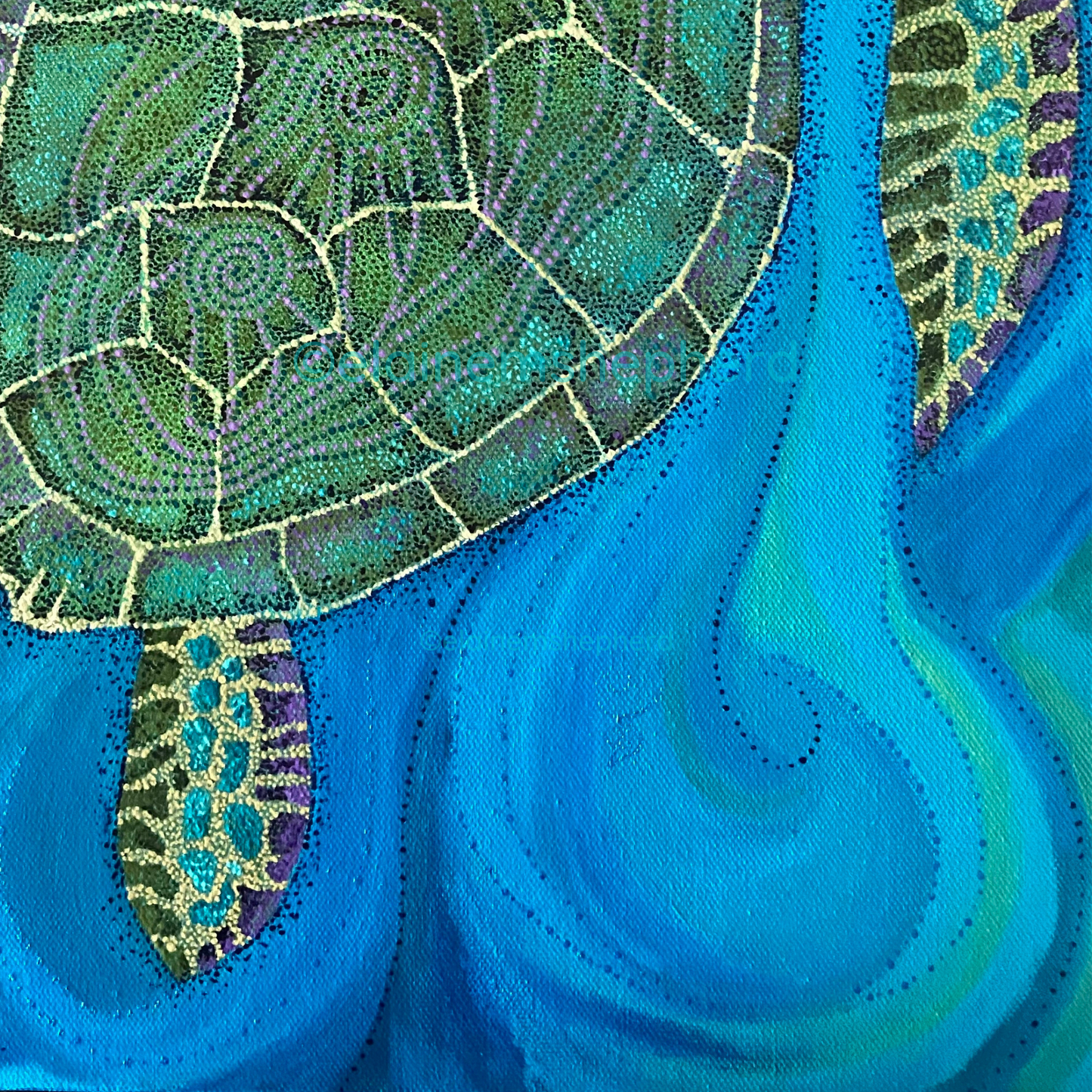 Turtle Gliding