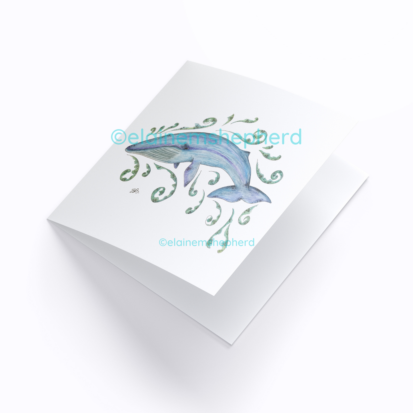 Blue Whale Card