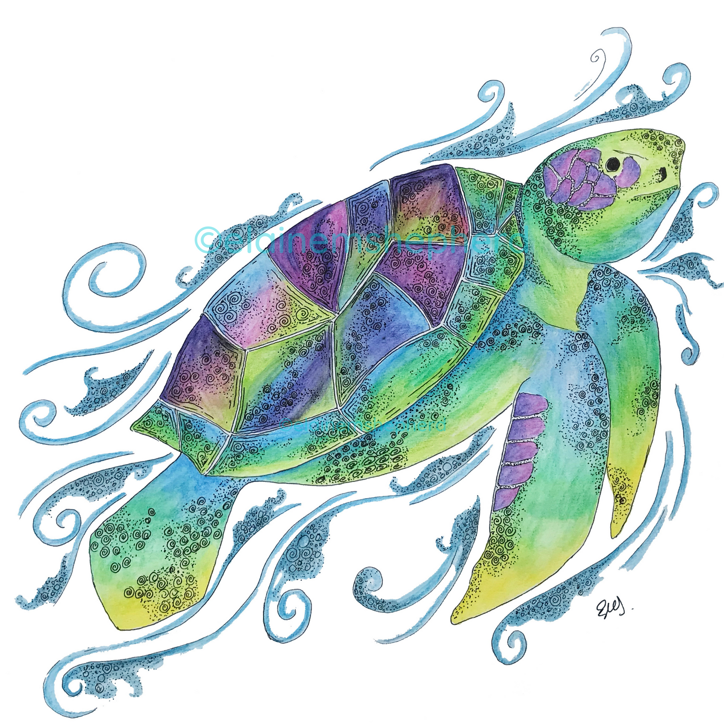 Green Sea Turtle Card