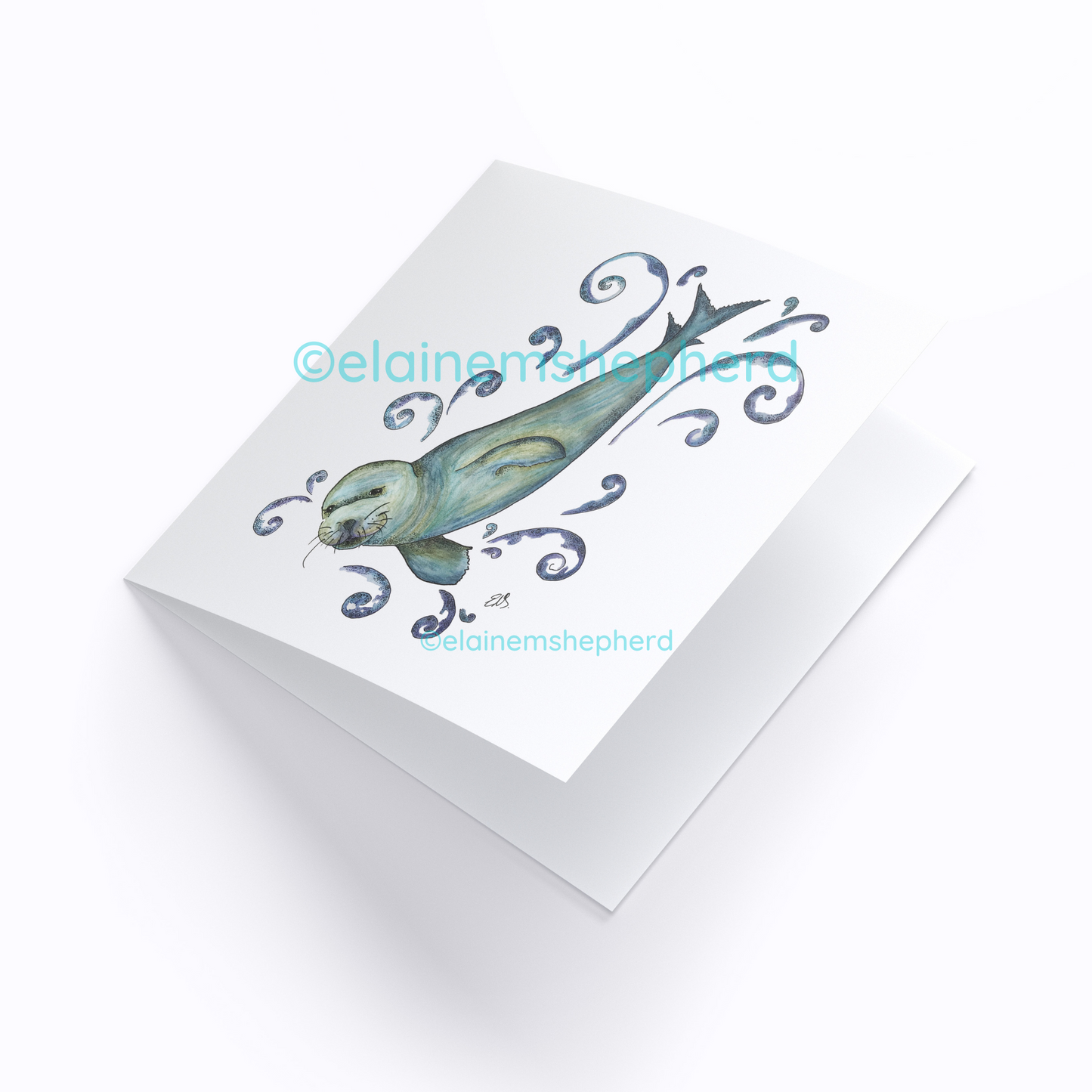 Hawaiian Monk Seal Card