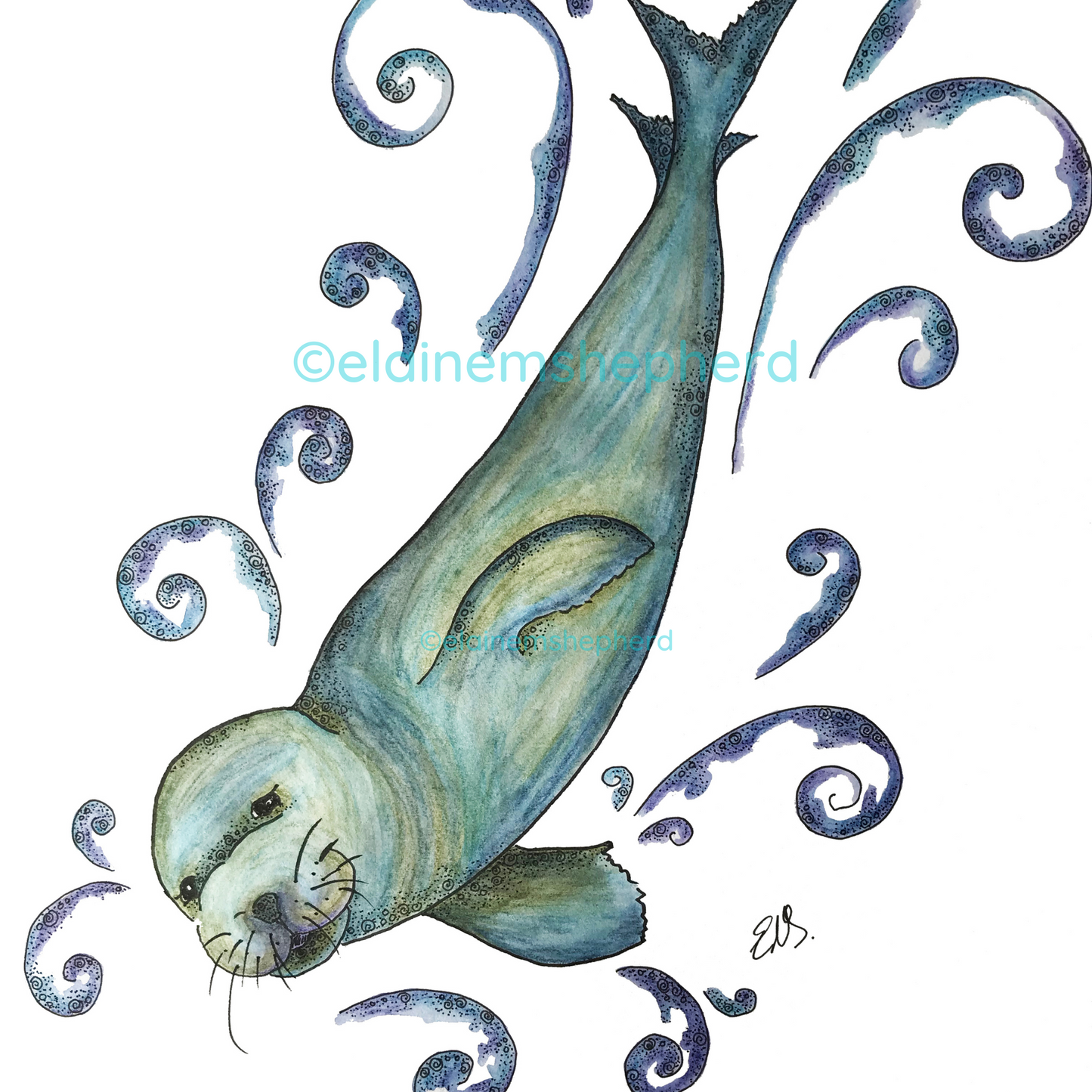 Hawaiian Monk Seal Card