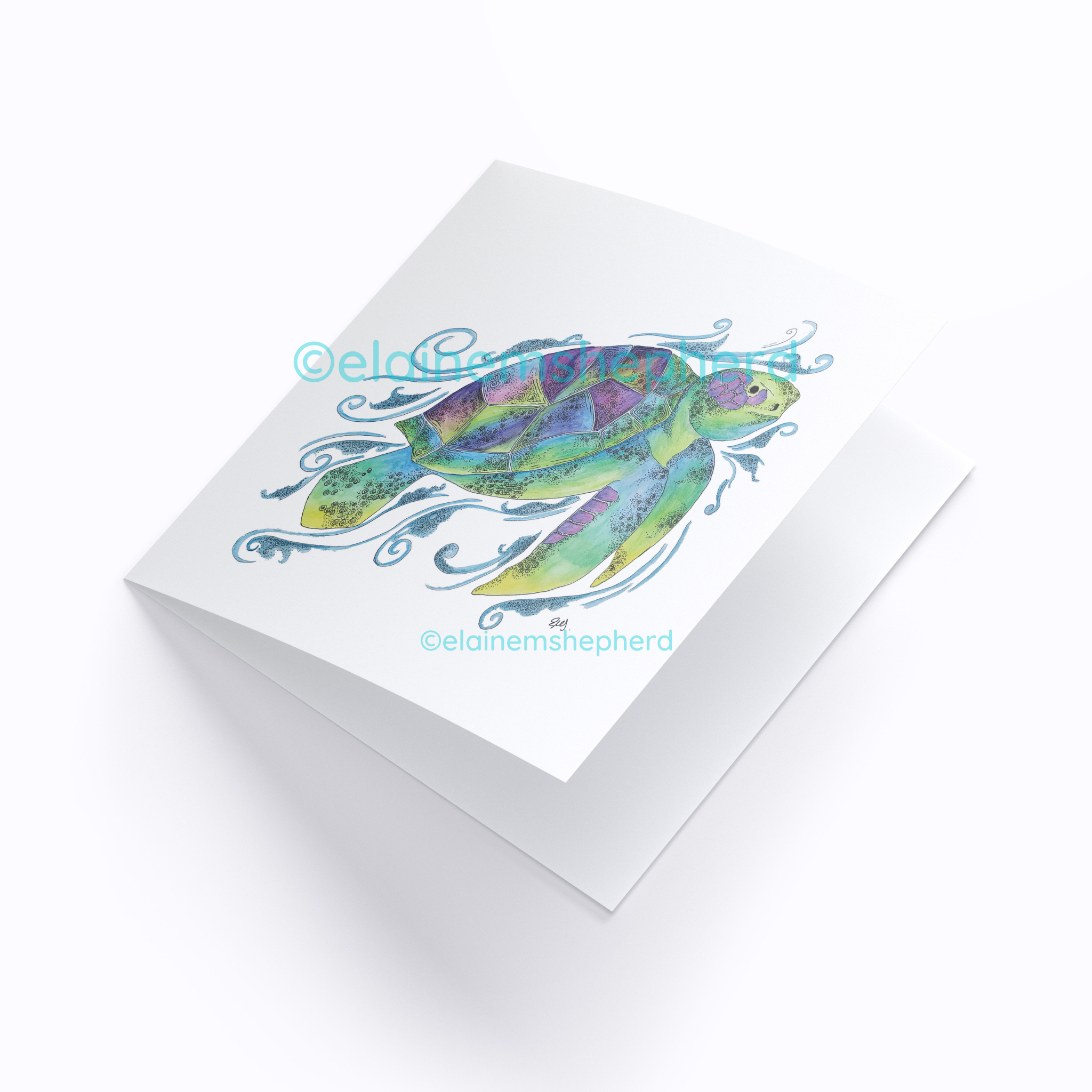 Turtle Shell Card Back Green Sea Turtle Card – elainemshepherd